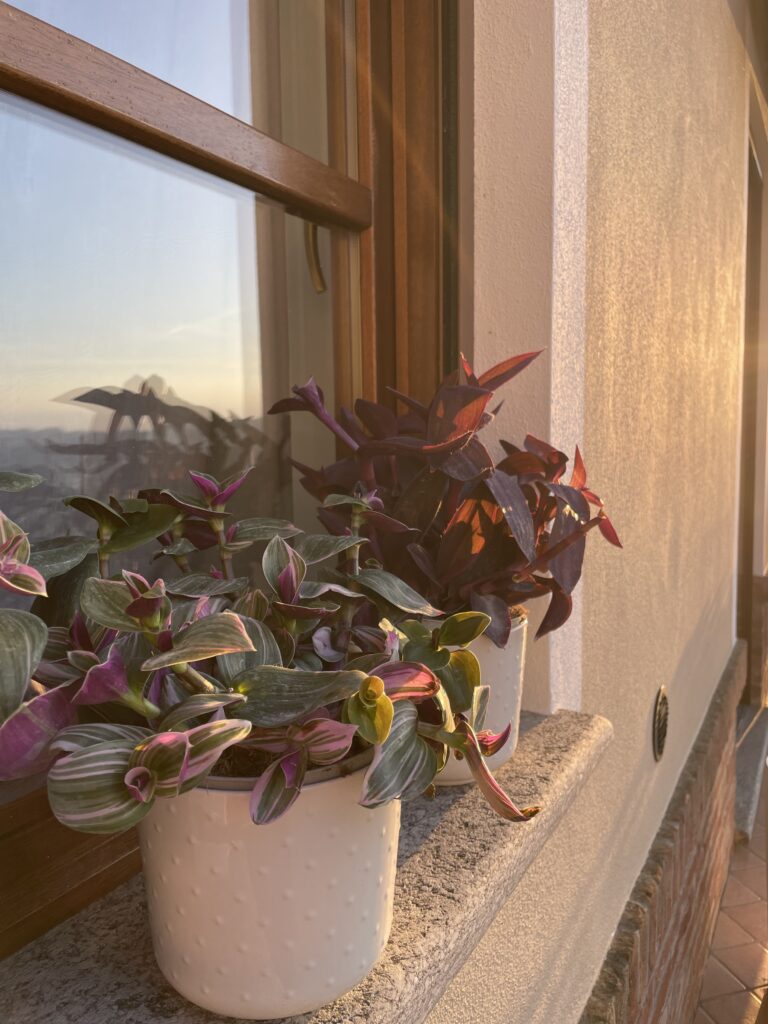 Casa Vacanze a Barbaresco